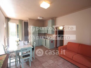 Appartamento in Affitto in Via Silvio Ferri 55100 a Lucca