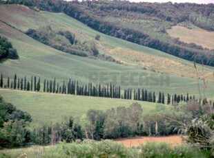 Quadrilocale in vendita a Monteroni d'Arbia