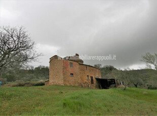 Rustico / Casale in vendita a Pienza - Zona: Pienza