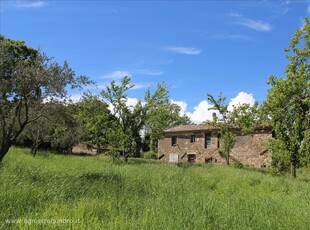 Rustico / Casale in vendita a Sarteano