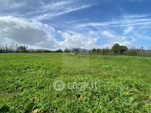 Terreno agricolo in Affitto in Via Tuscolana a Artena