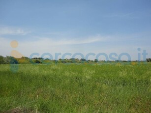 Terreno agricolo in vendita a Jesi