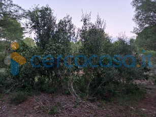 Terreno Agricolo in zona Cesine Lecce