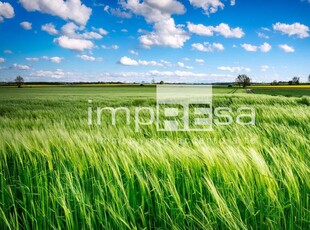 Terreno Edificabile Residenziale in vendita a Oderzo