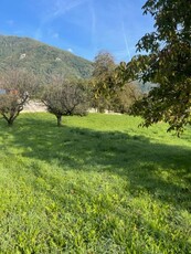 Terreno Edificabile Residenziale in vendita a Roncegno Terme