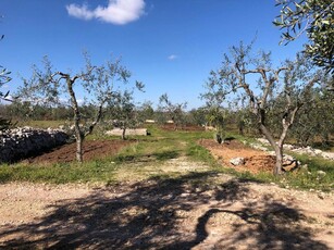 Terreno in , Ruvo di Puglia (BA)