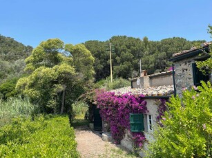 The Old Mill with Private Garden and Torrent