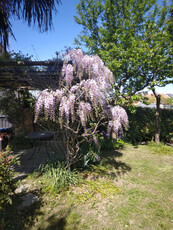 Villa in vendita a Padova - Zona: Guizza