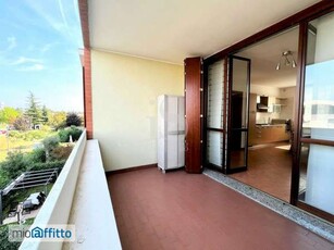 Appartamento arredato con terrazzo Centro