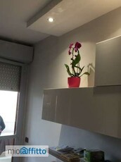 Appartamento arredato con terrazzo Pomezia centro