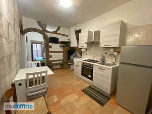 Appartamento arredato con terrazzo Viterbo