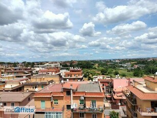 Attico arredato con terrazzo Boccea, torrevecchia, pineta sacchetti, selva candida, ottavia