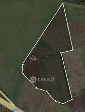 Terreno agricolo in Vendita in Via campovivo a Latina