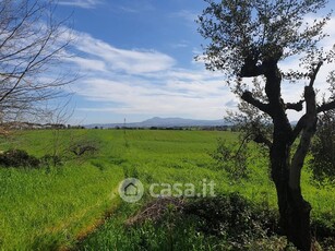 Terreno agricolo in Vendita in Via delle Vittorie 1 a Pomezia