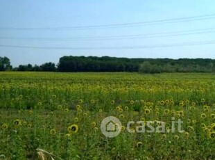 Terreno edificabile in Vendita in Via Lavoria a Crespina Lorenzana