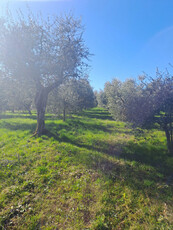 Terreno Edificabile Residenziale in vendita a Polpenazze del Garda