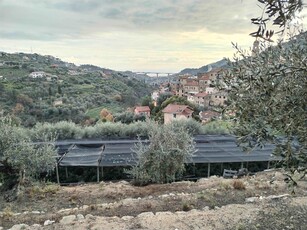 Terreno Edificabile Residenziale in vendita a Vallebona