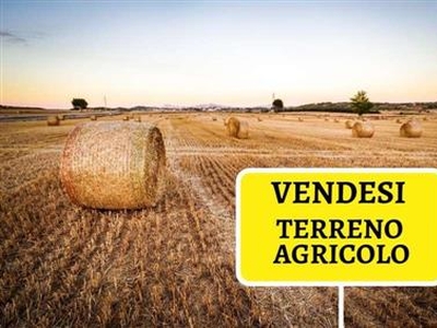 Terreno agricolo in buono stato di 10640 mq. a Latignano