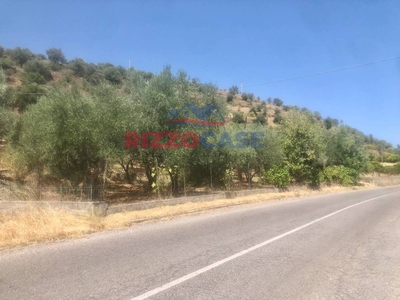 Terreno agricolo in vendita a Corigliano-rossano