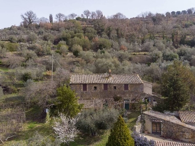 Incantevole Casale Rustico in Vendita a Montalcino - Un'oasi di tranquillità toscana