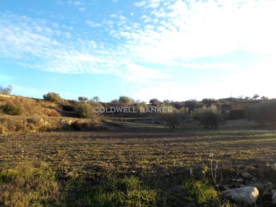 Terreno agricolo in vendita a Ragusa - Zona: San Giacomo