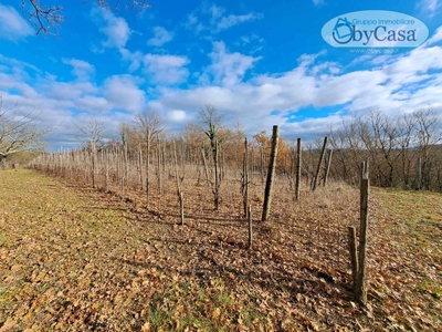 Terreno in vendita a Oriolo Romano