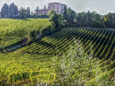 Azienda vitivinicola in vendita a Greve in Chianti: Un'oasi di vino e bellezza
