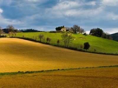 Vendita Casa Indipendente in Borgo San Lorenzo