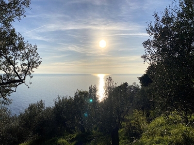 Bilocale con giardino, Pieve Ligure residenziale