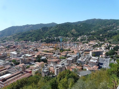 Capannone in affitto Massa-carrara