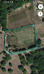 Terreno Agricolo in vendita a Buddusò via Sant'Ambrogio, 27A