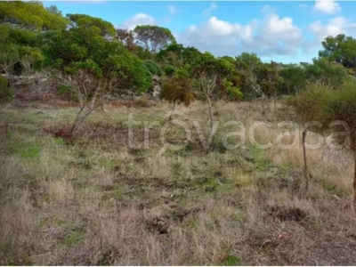 Terreno Agricolo in vendita a Carloforte località Gianchini