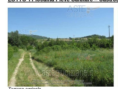 Terreno Agricolo in vendita a Castrocaro Terme e Terra del Sole località Pieve Salutare