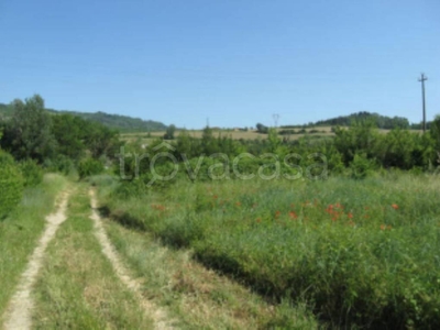 Terreno Agricolo in vendita a Castrocaro Terme e Terra del Sole via Rio Cozzi