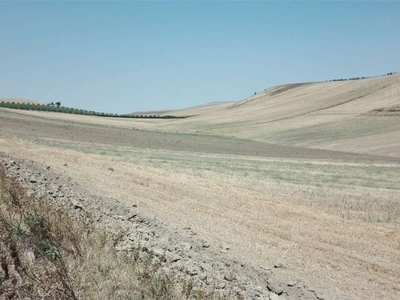 Terreno Agricolo in vendita a Cerignola strada statale ofantina km 8