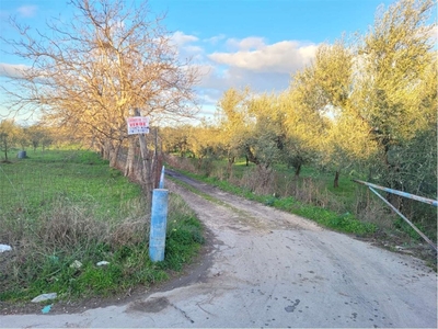 Terreno Agricolo in vendita a Cerignola via antonietta rosati -- zona san marco