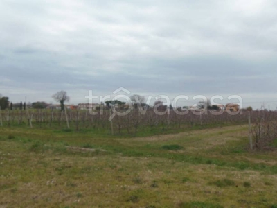 Terreno Agricolo in vendita a Cesena via Montaletto