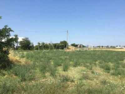 Terreno Agricolo in vendita a Cesena via Vanzie