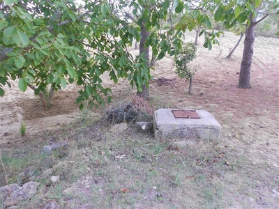 Terreno Agricolo in vendita a Crispiano