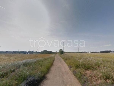 Terreno Agricolo in vendita a Elmas via Orso Maria Corbino, Is Arenas ca, Italia