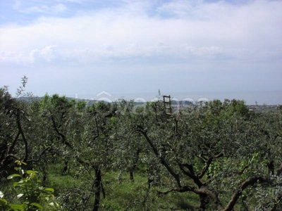 Terreno Agricolo in vendita a Formia