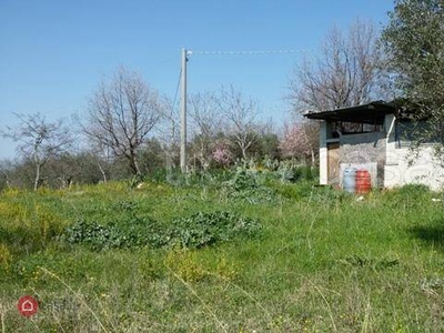 Terreno Agricolo in vendita a Frasso Telesino via Bianca Erba