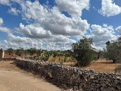 Terreno Agricolo in vendita a Gallipoli località Monnittola