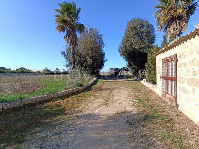 Terreno Agricolo in vendita a Gallipoli sp361