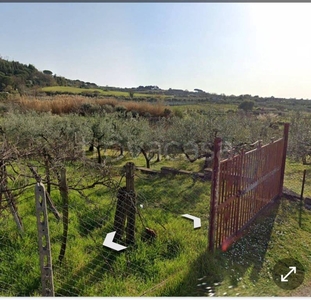 Terreno Agricolo in vendita a Grottaferrata strada Provinciale Selve Vecchie Preziosa V. Marciana