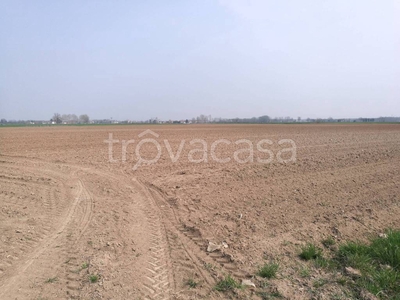 Terreno Agricolo in vendita a Gussola case Sparse Cascina Valloni