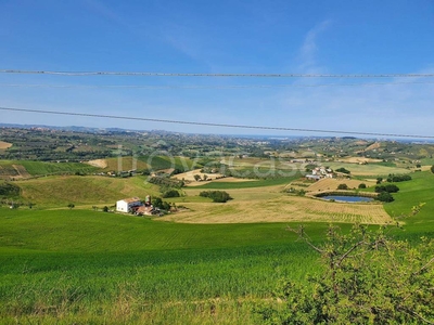 Terreno Agricolo in vendita a Loreto Aprutino contrada Pallante
