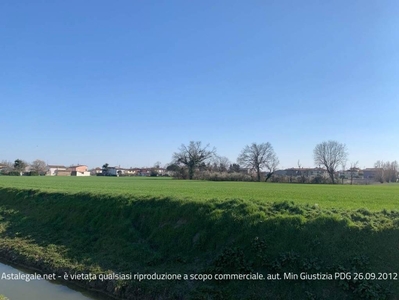 Terreno Agricolo in vendita a Lugo via Carrara Arginello