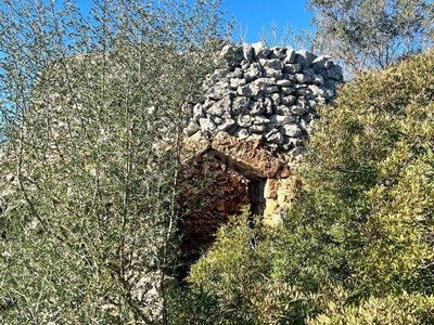 Terreno Agricolo in vendita a Manduria località Archignano , snc