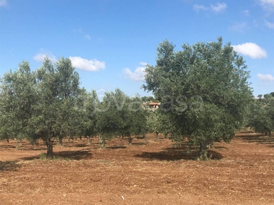 Terreno Agricolo in vendita a Massafra sp32